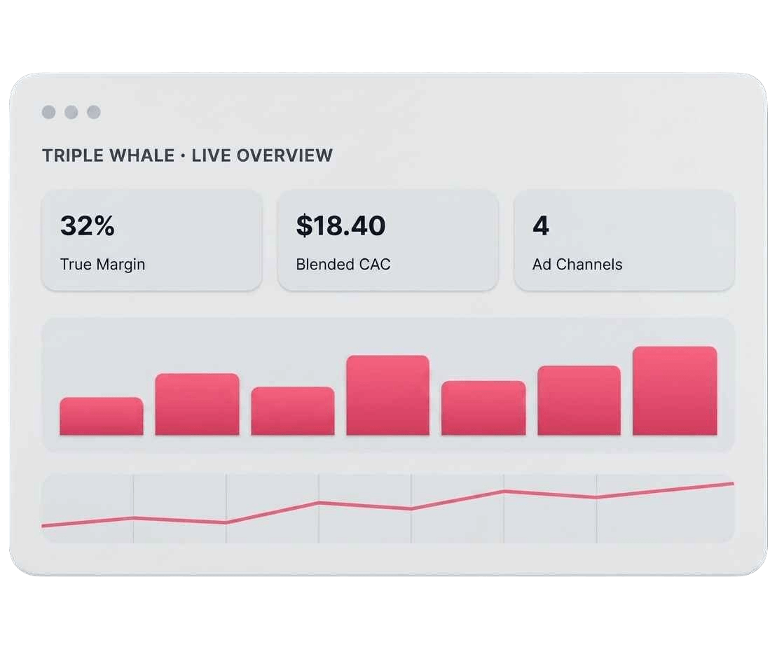 Triple Whale